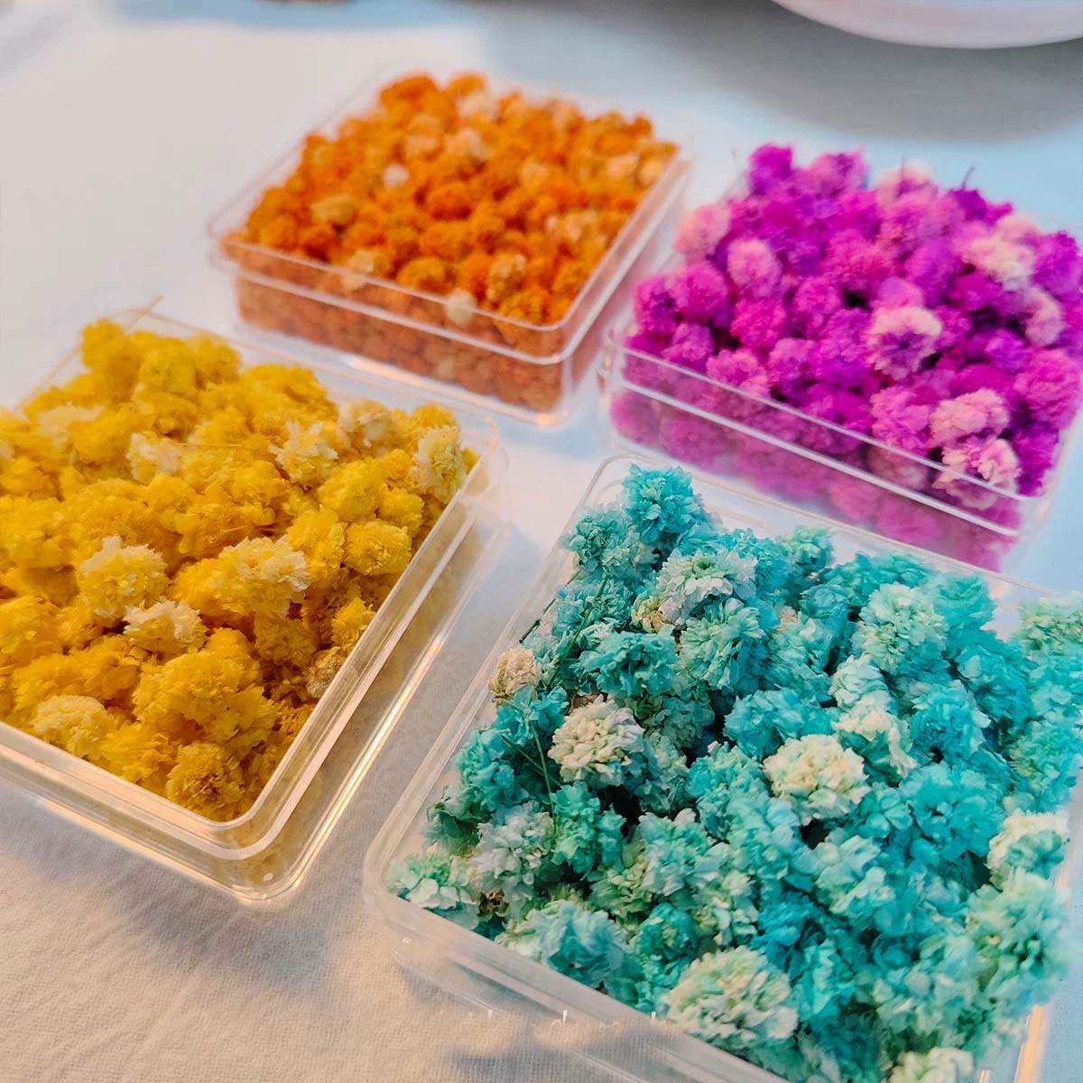 1 Doos Bloemknoppen voor DIY h - Soap Making Books recensie en prijs